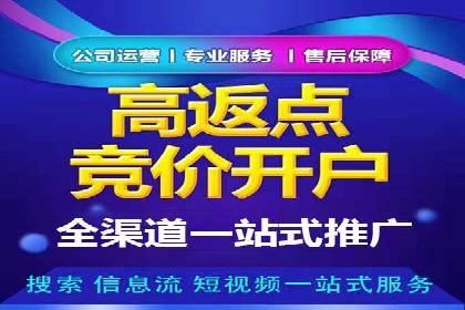 sem百度竞价实战：成功案例解析